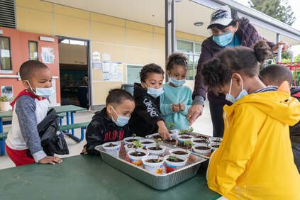 Young students and an educator gather around a container of plants
